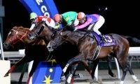 【グランシャリオ門別スプリント予想】10歳馬メイショウアイアン連覇なるか!?/NARレース展望