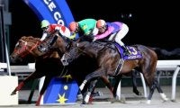 【門別競馬情報】地元2歳重賞「栄冠賞」開催は門別ナイター化後3度目「10億円」オーバー！今夜は古馬の電撃戦「グランシャリオ門別スプリントH2」/地方競馬情報