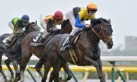 【七夕賞想定】良血馬ジナンボーはD.レーン騎手、エアウィンザーは三浦皇成騎手