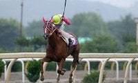 【水沢・フェアリーC】5番人気のボルドープラージュが2着に2馬身差を付ける快勝