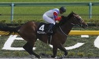 【先週のJRA抹消馬】ブリリアントS覇者フェニックスマーク、ラジオ日本賞2着クロスケなど