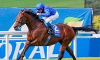 【海外競馬】ガイヤースはインターナショナルSを視野に、英G1・3連勝なるか