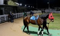 【地方競馬】無観客でどこまで売上が伸び続けるのか/斎藤修コラム