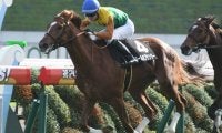 【次走】9馬身差圧勝ロールオブサンダーは神戸新聞杯へ