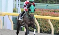 【門別競馬情報】3歳ダート頂上決戦お楽しみ後は門別メインもお願いします！タイセイシャイニーの素質に注目「ウポポイ開設直前記念特別」/地方競馬情報
