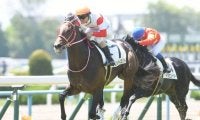 【門別競馬情報】開催「2日増」等で出走数も少し分散。人気馬が地力発揮しやすい傾向も!?今夜メインも少頭数「ダノンバラード賞」/地方競馬情報