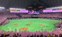 ホークス「鷹の祭典」「タカガール デー」などの日程発表　全12試合のイベント開催