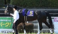 【プロキオンS予想】絶好枠に入ったサクセスエナジー/JRAレース展望
