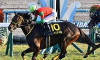 【七夕賞予想】福島巧者揃いのハンデ戦　混戦を断つのはどの馬か!!/JRAレース展望