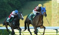 【地方競馬】岩手重賞オパールCが芝からダートに変更、走路状態悪化のため