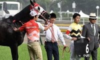 【先週のJRA抹消馬】オープン馬ドリームキラリ・アンノートル、岩手重賞2勝スタークニナガなど