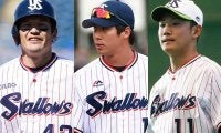 燕イケメンランキング、山田哲人が1位　2位以下は男女で傾向が分かれる結果に