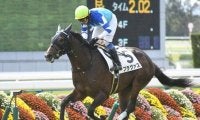 【次走】七夕賞で2着のブラヴァスは新潟記念へ