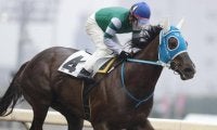 【門別競馬情報】大井から遠征ナムラメルシーらを地元大将格クオリティスタートが迎え撃つ「第19回ノースクイーンカップH2」/地方競馬情報
