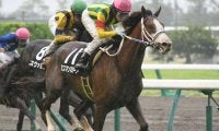 種牡馬引退のクロフネ・タニノギムレット　今週はそれぞれ11・4頭が出走