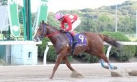 【佐賀・吉野ヶ里記念】11連勝中ドラゴンゲートに浅野靖典が“小ネタ”で対抗!?