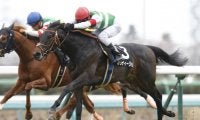 【函館記念予想】今後の飛躍へ向けて　カウディーリョに期待/JRAレース展望