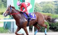 【吉野ヶ里記念予想】11連勝中ドラゴンゲートの相手探し。ハイペースでオイカケマショウが浮上しないか/NARレース展望