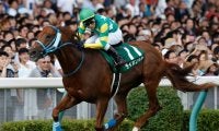 札幌・新潟開幕 千直アイビスSDに注目/今週の競馬界の見どころ