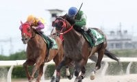 【名古屋・名港盃枠順確定】11歳馬メモリージルバは7枠10番、重賞10勝エイシンニシパは8枠11番