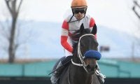 【先週のJRA抹消馬】オープン馬ダノンフェイス、サトノアラジン弟サトノケンシロウなど