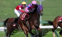 【YJS・TR暫定順位】東日本はJRA・地方競馬でそれぞれ原優介騎手、関本玲花騎手がトップ