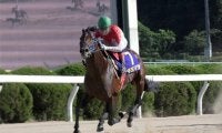 【地方競馬】毎年の目標は霧島賞、松浦聡志調教師と九州産馬“キヨマサ”の挑戦