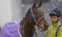【クイーンS想定】重賞連勝中フェアリーポルカ、府中牝馬S覇者スカーレットカラーなど