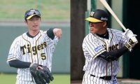 中堅は福留か、近本か…　6連勝お預けの阪神、さらなる浮上のカギを専門家が指摘
