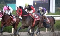 【名港盃予想】エイシンニシパ重賞11勝目へ/ NARレース展望
