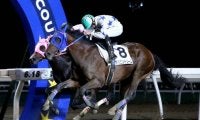 【門別競馬情報】ダービー馬アベニンドリーム「二冠」なるか？道中の攻防次第で伏兵の台頭も「第41回 王冠賞H2」/地方競馬情報