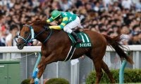 【アイビスSD出走馬・騎手確定】ライオンボス＆鮫島克駿騎手、ラブカンプー＆藤田菜七子騎手など18頭