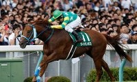【アイビスSD予想】新潟の千直はなぜ8枠が有利なのか？　コースの歴史を紐解くことで勝ち馬のヒントが見えた!?/JRAレース展望