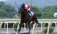 【水沢・栗駒賞】1番人気プレシャスエース号が逃げ切って勝利