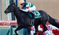 牝馬GIIIクイーンSに注目/今週の競馬界の見どころ
