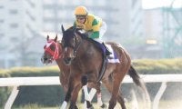【MRO金賞 枠順確定】ダービー馬が激突！重賞5連勝ニュータウンガール、5戦無敗ハクサンアマゾネスと強豪牝馬に注目