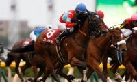 【クイーンS出走馬決定順】フルゲート14頭に18頭の登録、5頭は自己条件にも登録