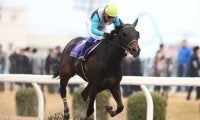 【ブリーダーズGC出走予定馬】JRAからシネマソングス・プリンシアコメータらが選定