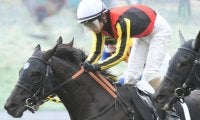 【新潟ジャンプS想定騎手】フォイヤーヴェルクは森一馬騎手、メドウラークは北沢伸也騎手