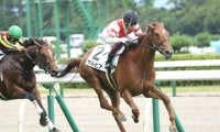 【新馬/新潟6R】ダイワメジャー産駒 サルビアがデビューV