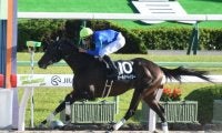 【門別競馬情報】一日最高額をまたまた更新！勢いからは「年間最高更新」も視野!? 今夜メインは混戦必至「エピファネイア・プレミアム」/地方競馬情報