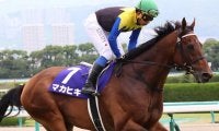 【次走】マカヒキは札幌記念へ、鞍上は岩田康誠騎手