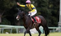 【JRA】スティッフェリオが屈腱炎で引退、乗馬に　今年の天皇賞・春で2着、重賞3勝