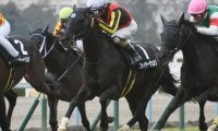 【新潟ジャンプS出走馬・騎手確定】フォイヤーヴェルク＆森一馬騎手、メドウラーク＆北沢伸也騎手など14頭