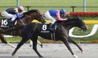 【門別競馬情報】JRAオープン3勝馬メイショウウタゲ、田中淳司厩舎で復活なるか！大注目の転入初戦「優駿の里安平町道の駅あびら特別」/地方競馬情報