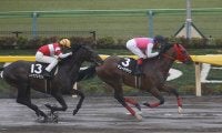 【JRA】秋季競馬番組が決定　3歳上OPの新潟牝馬S、2歳ダートOPのカトレアS実施など