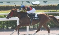 ダートGIIIエルムS＆レパードSに注目/今週の競馬界の見どころ