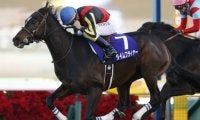 【エルムS予想オッズ】前走ダート初VのGI馬タイムフライヤーが1番人気