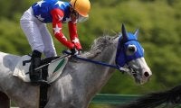 馬にも“年金制度を”競走馬年金の構築に向けて…
