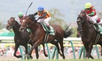 メドウラークが競走馬登録抹消